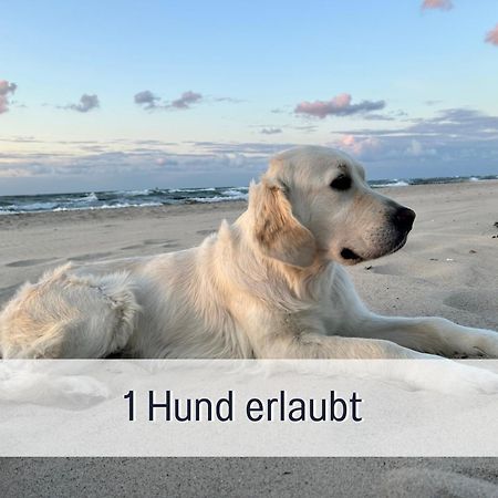 3 Zimmer App Duenengarten Fewo 58 Kühlungsborn Zewnętrze zdjęcie