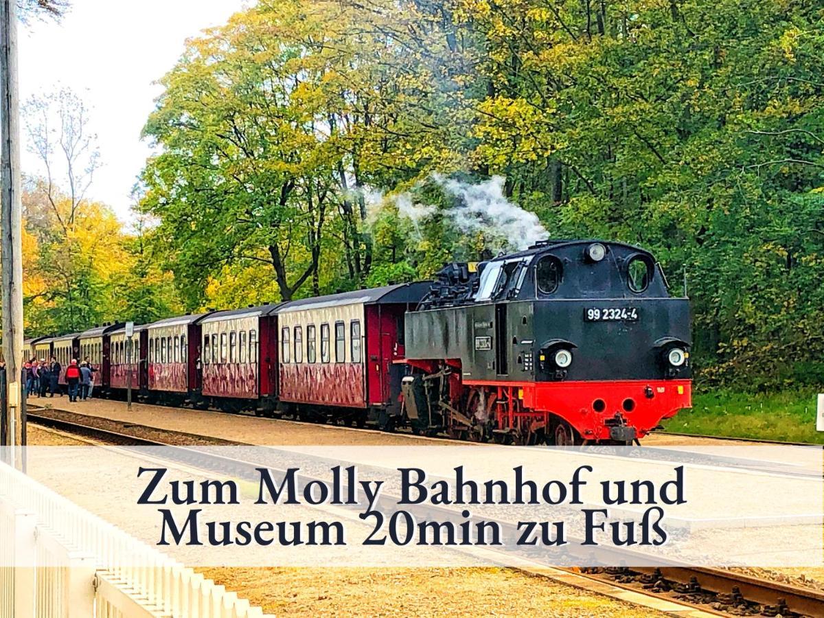 3 Zimmer App Duenengarten Fewo 58 Kühlungsborn Zewnętrze zdjęcie