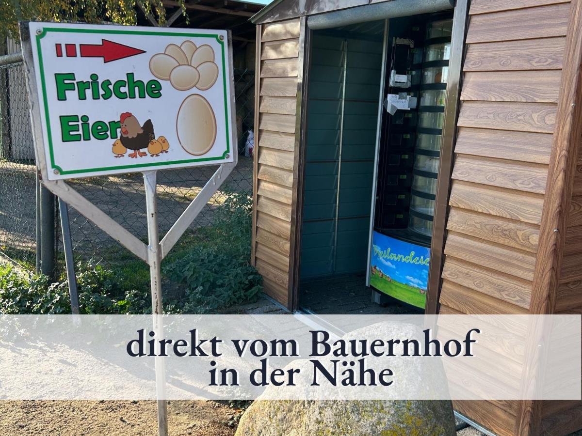 3 Zimmer App Duenengarten Fewo 58 Kühlungsborn Zewnętrze zdjęcie